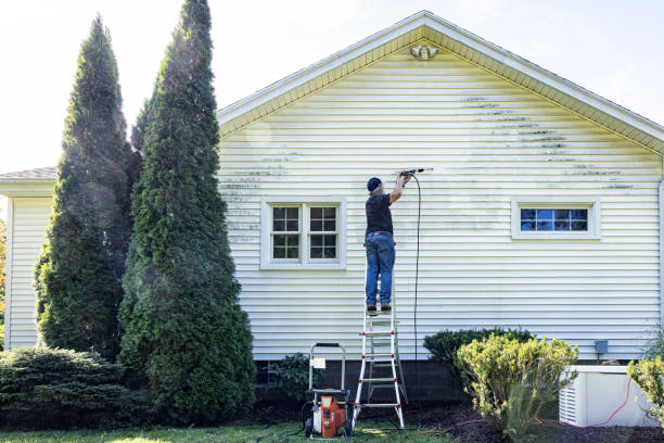 Best Residential Pressure Washing Services  in Ellington, MO